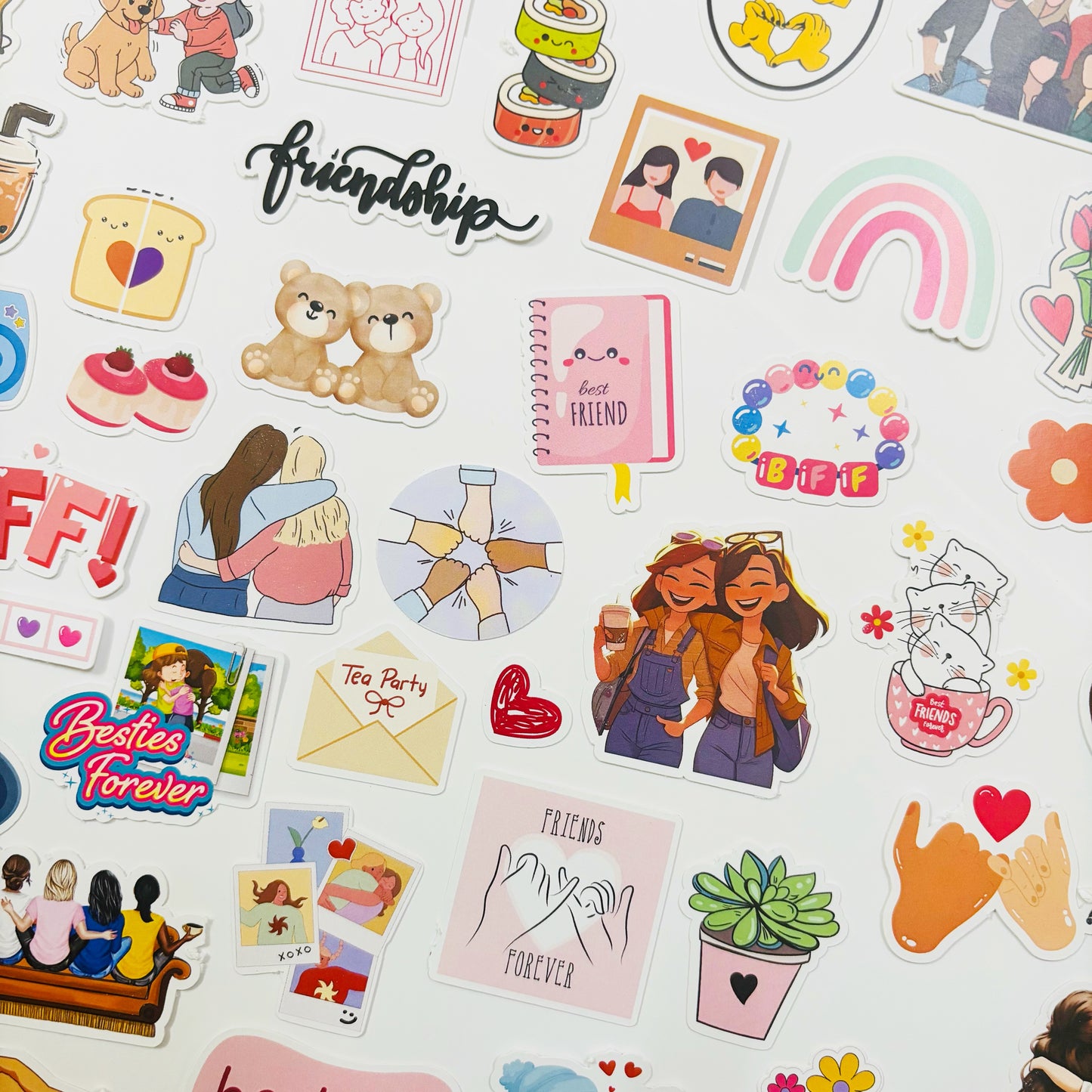 FRIENDSHIP PRECUT