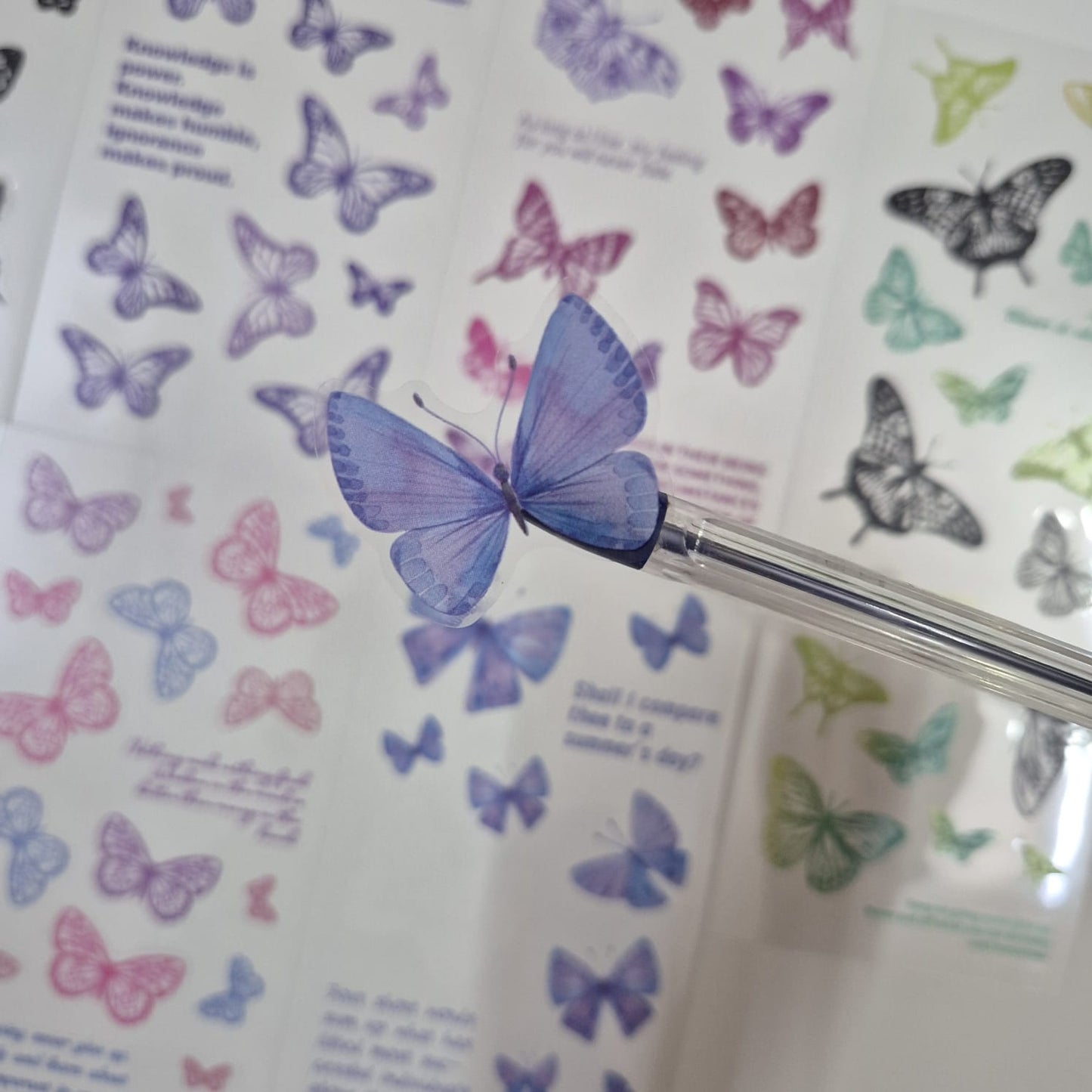 TRANSPARNET BUTTERFLY STICKER